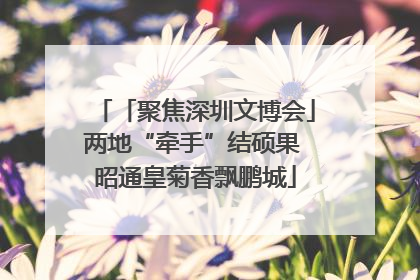 「聚焦深圳文博会」两地“牵手”结硕果 昭通皇菊香飘鹏城
