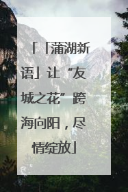 「蒲湖新语」让“友城之花”跨海向阳，尽情绽放