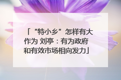 “特小乡”怎样有大作为 刘亭：有为政府和有效市场相向发力