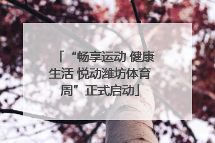 “畅享运动 健康生活 悦动潍坊体育周”正式启动