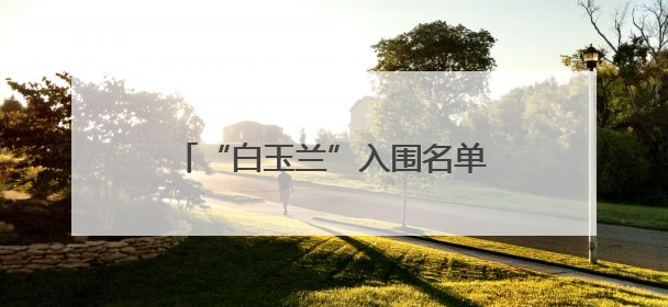 “白玉兰”入围名单公布，浙产剧《小巷人家》获7项提名