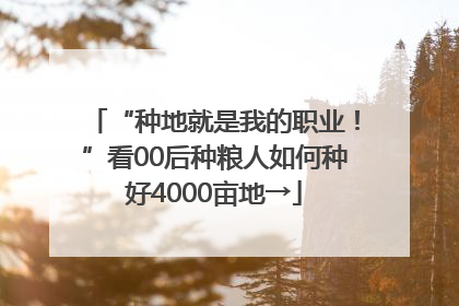 “种地就是我的职业！”看00后种粮人如何种好4000亩地→