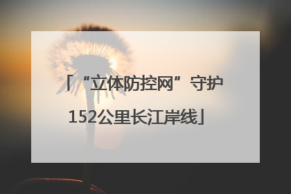 “立体防控网”守护152公里长江岸线