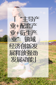 “主导产业+配套产业+衍生产业” 镇域经济创新发展释放强劲发展动能