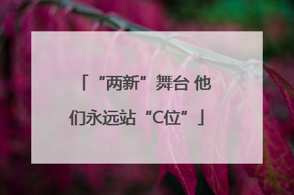 “两新”舞台 他们永远站“C位”