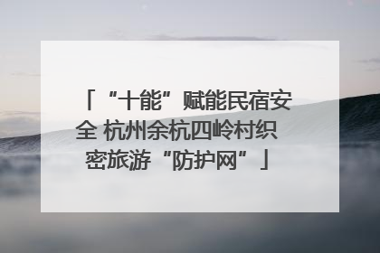 “十能”赋能民宿安全 杭州余杭四岭村织密旅游“防护网”