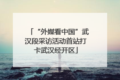 “外媒看中国”武汉段采访活动首站打卡武汉经开区