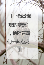 “微微燃烧的梦想”，他陪盲童们一起点亮