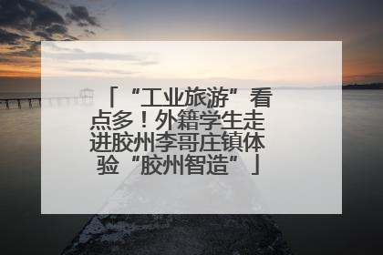 “工业旅游”看点多！外籍学生走进胶州李哥庄镇体验“胶州智造”
