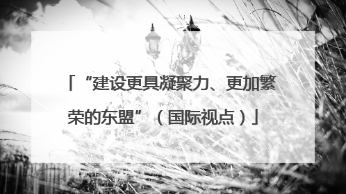 “建设更具凝聚力、更加繁荣的东盟”（国际视点）