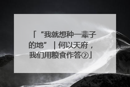 “我就想种一辈子的地”｜何以天府，我们用粮食作答②
