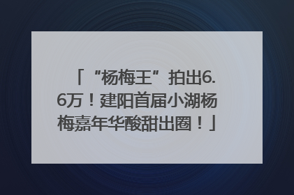 “杨梅王”拍出6.6万！建阳首届小湖杨梅嘉年华酸甜出圈！