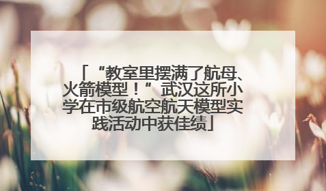 “教室里摆满了航母、火箭模型！”武汉这所小学在市级航空航天模型实践活动中获佳绩