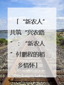 “新农人”共筑“兴农路”：“新农人”付鹏程的稻乡情怀
