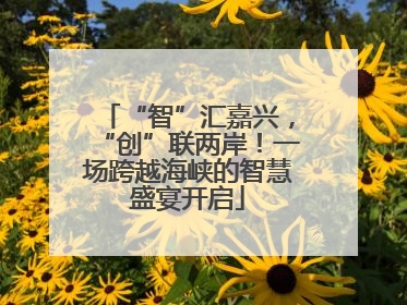 “智”汇嘉兴，“创”联两岸！一场跨越海峡的智慧盛宴开启