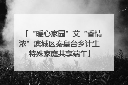 “暖心家园”艾“香情浓”滨城区秦皇台乡计生特殊家庭共享端午