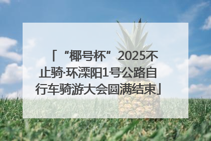 “椰号杯”2025不止骑·环溧阳1号公路自行车骑游大会圆满结束