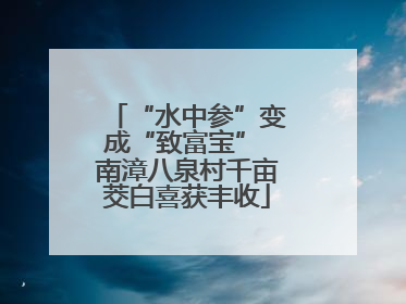 “水中参”变成“致富宝” 南漳八泉村千亩茭白喜获丰收