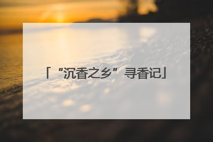 “沉香之乡”寻香记