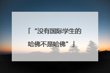 “没有国际学生的哈佛不是哈佛”