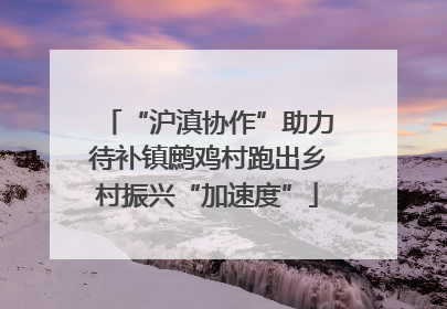 “沪滇协作”助力待补镇鹧鸡村跑出乡村振兴“加速度”