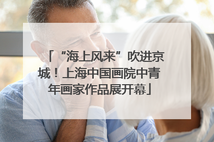 “海上风来”吹进京城！上海中国画院中青年画家作品展开幕