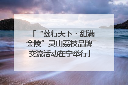 “荔行天下・甜满金陵”灵山荔枝品牌交流活动在宁举行