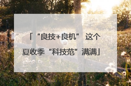 “良技+良机” 这个夏收季“科技范”满满