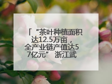 “茶叶种植面积达12.5万亩，全产业链产值达57亿元” 浙江武义茶产业全链发展“加速度”