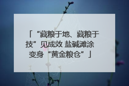“藏粮于地、藏粮于技”见成效 盐碱滩涂变身“黄金粮仓”