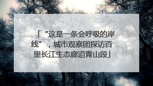 “这是一条会呼吸的岸线”，城市观察团探访百里长江生态廊道青山段