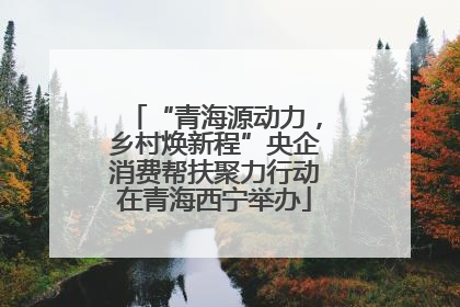 “青海源动力，乡村焕新程”央企消费帮扶聚力行动在青海西宁举办
