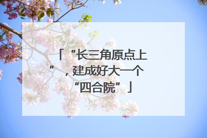 “长三角原点上”，建成好大一个“四合院”