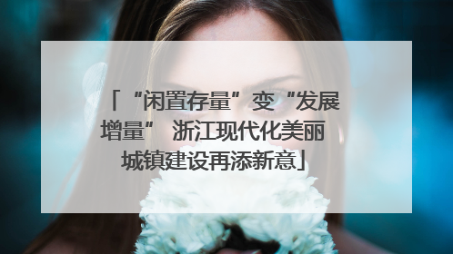 “闲置存量”变“发展增量” 浙江现代化美丽城镇建设再添新意