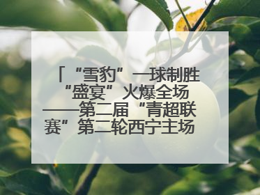 “雪豹”一球制胜 “盛宴”火爆全场——第二届“青超联赛”第二轮西宁主场比赛见闻
