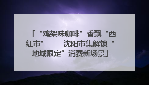 “鸡架味咖啡”香飘“西红市”——沈阳市集解锁“地域限定”消费新场景