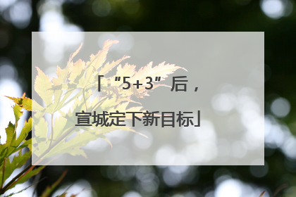 “5+3”后，宣城定下新目标