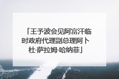 王予波会见阿富汗临时政府代理副总理阿卜杜·萨拉姆·哈纳菲