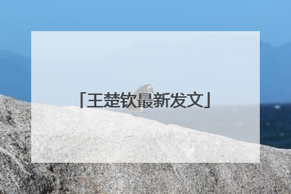 王楚钦最新发文