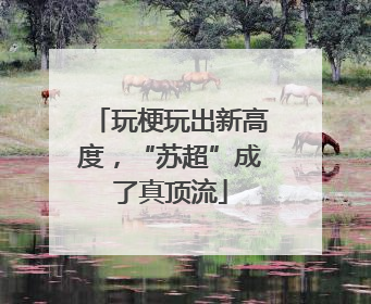 玩梗玩出新高度，“苏超”成了真顶流