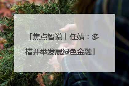 焦点智说丨任婧：多措并举发展绿色金融