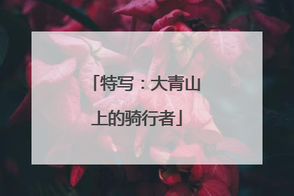 特写：大青山上的骑行者
