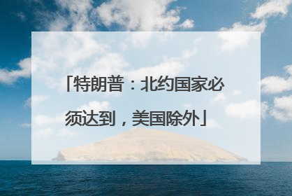 特朗普：北约国家必须达到，美国除外