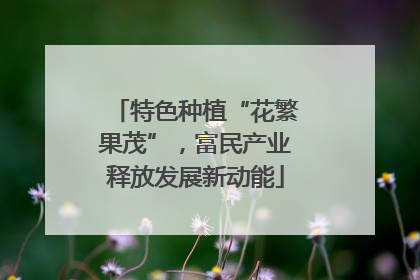 特色种植“花繁果茂”，富民产业释放发展新动能