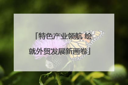特色产业领航 绘就外贸发展新画卷