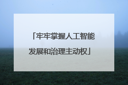 牢牢掌握人工智能发展和治理主动权