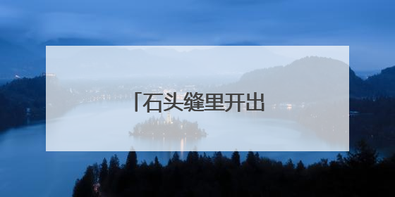 石头缝里开出“致富花”