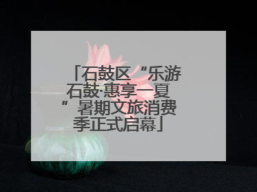 石鼓区“乐游石鼓·惠享一夏”暑期文旅消费季正式启幕