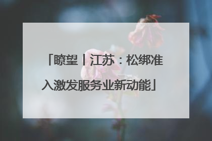 瞭望丨江苏：松绑准入激发服务业新动能