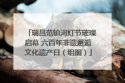 瑞昌范镇河灯节璀璨启幕 六百年非遗邂逅文化遗产日（组图）